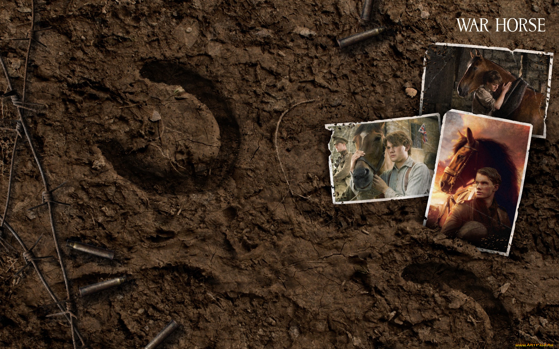 war, horse, , , , 